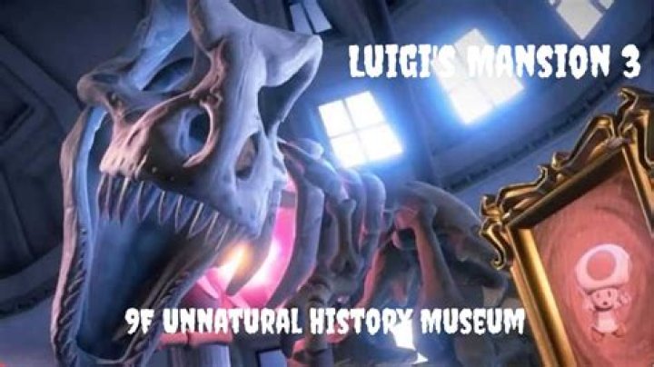 9F Unnatural History Museum Walkthrough