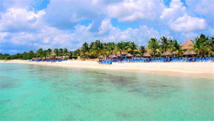 Discovering Allegro Resort Cozumel: Your Ultimate Guide to a Tropical Paradise