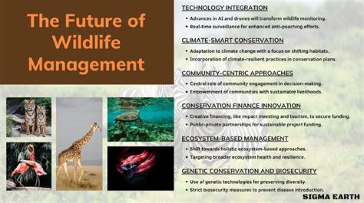Understanding the Role of a Certified Trapper: Expertise, Authority, and Trust in Wildlife Management